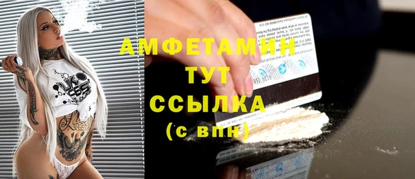 молекула духа Болхов