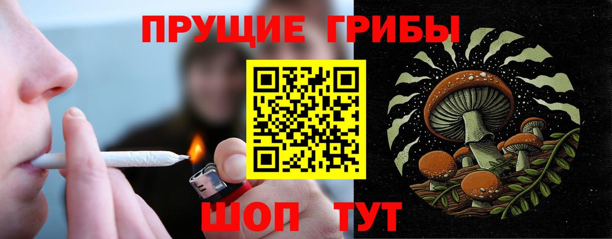 Кинешма  Галлюциногенные грибы Cubensis  Вход с VPN 